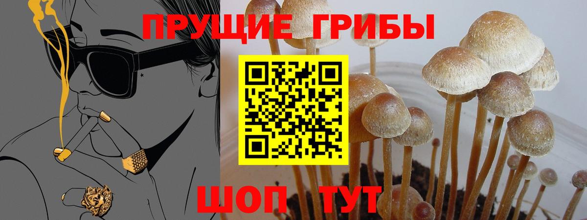 Галлюциногенные грибы ЛСД  Вход с VPN  Псилоцибиновые грибы GOLDEN TEACHER  Ртищево 